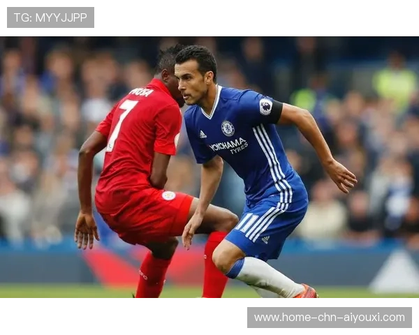 布莱顿持续掌控中场:从战术洞察到训练升级的全链条